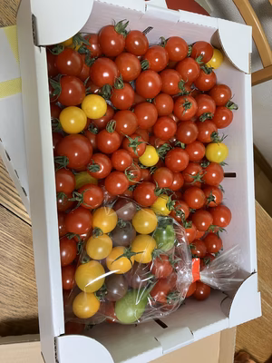 みんなの投稿の画像