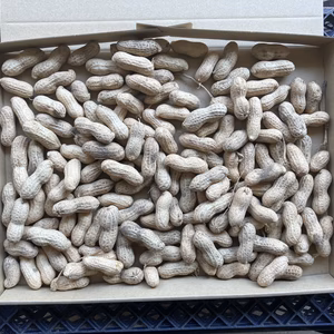 【鹿児島産】甘塩生落花生箱込み700g^_^
