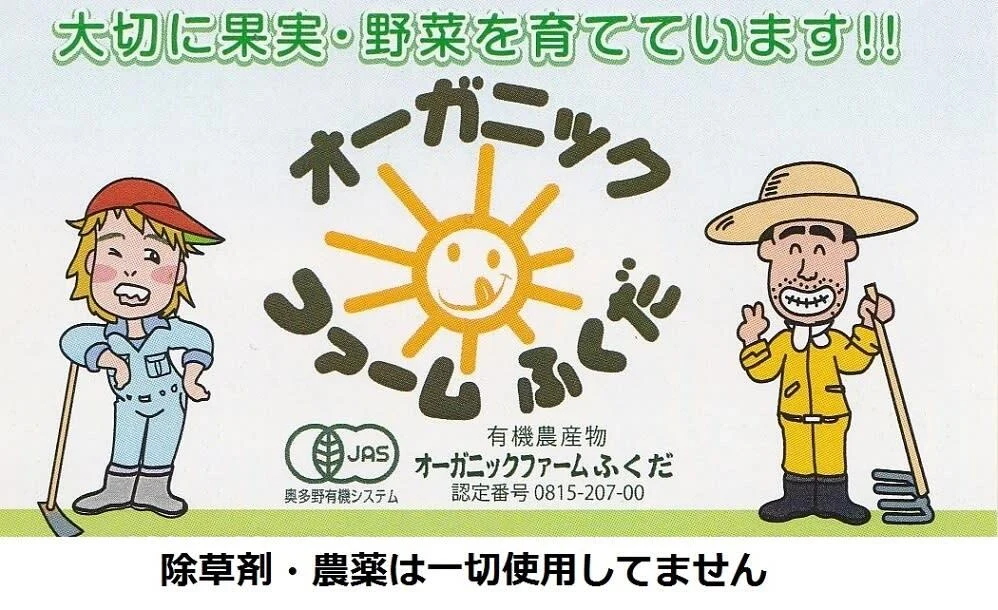 月桂樹　生葉　農薬は使ってません