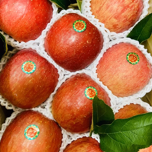 【りんごの王様！人気商品！】サンふじ　最高級５キロ