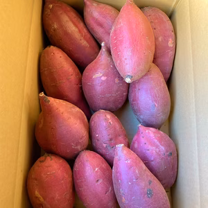 【新物】シルクスイート　丸 Lサイズ　さつまいも