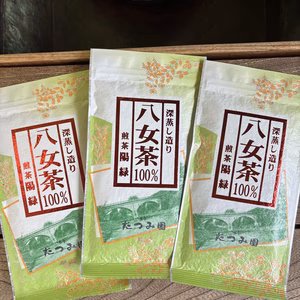 訳あり＼3本で1200円／八女茶家庭用煎茶陽緑100g×3本セット