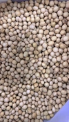 送料無料☆ 青森県産大豆　約900g