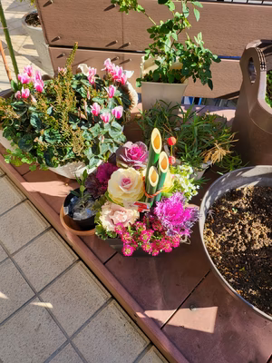 みんなの投稿の画像