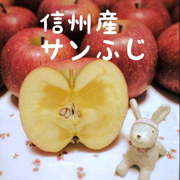 信州産贈答サンふじ（つがね農園）：
