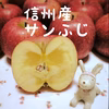 信州産贈答サンふじ（つがね農園）：