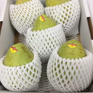 山形県産★アミノ肥料で作った★洋梨マルゲリット★2キロ