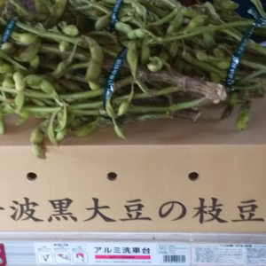 令和４年度京都丹波産　丹波黒枝豆