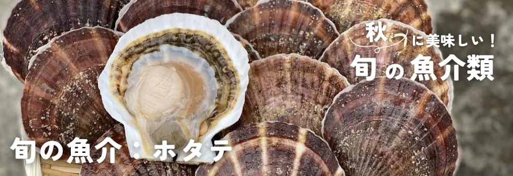 秋の旬 魚介類 ホタテ