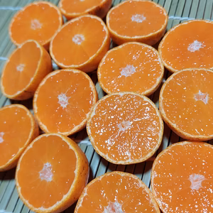 有田みかん【超絶チビチビみかん】3.5kg箱込 80 糖度14度前後 送料無料 