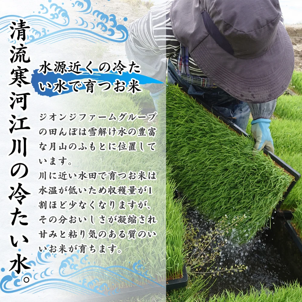 【送料無料】令和5年産 山形県産 はえぬき玄米 10kg（5kg×2袋）