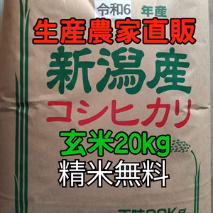 令和6年度新米新潟県長岡産コシヒカリ20kg玄米【精米無料】