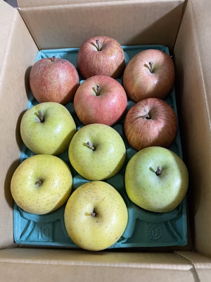 みんなの投稿の画像