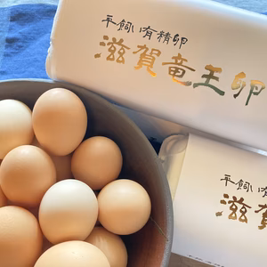 【期間限定特価中❗️】平飼い有精卵 滋賀竜王卵 30個