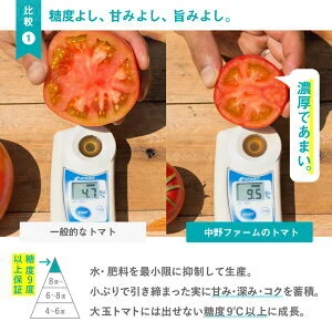 トマトジュース専門農家】送料無料トマトジュース710ml×12本｜加工食品