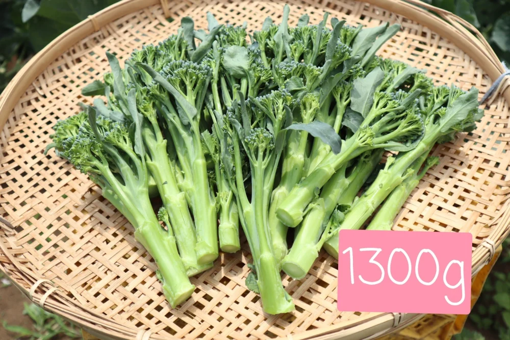 大好評♪】リピータ様専用 箱いっぱい入れます 茎ブロッコリー｜野菜の