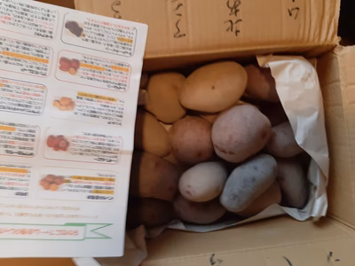 みんなの投稿の画像