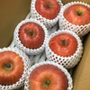 南信州産　サンふじ　贈答用(大玉)