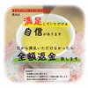 【めっちゃ人気】水出し玄米茶／5g×50入 ティーバッグ TBG-053