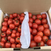 【全国送料無料】トマトベリー1kg+ファンゴッホ1kg