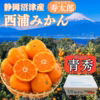 糖度10度以上！青秀 寿太郎みかん (サイズSまたはM) みかん 西浦みかん 