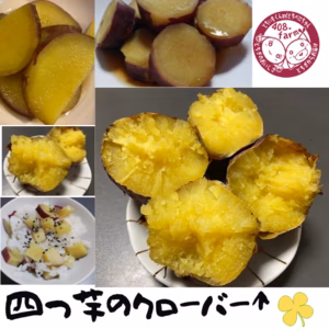 【熟成2ヶ月以上！】箱含め5キロ以内☆さつまいも・紅はるか　さつま芋　薩摩芋