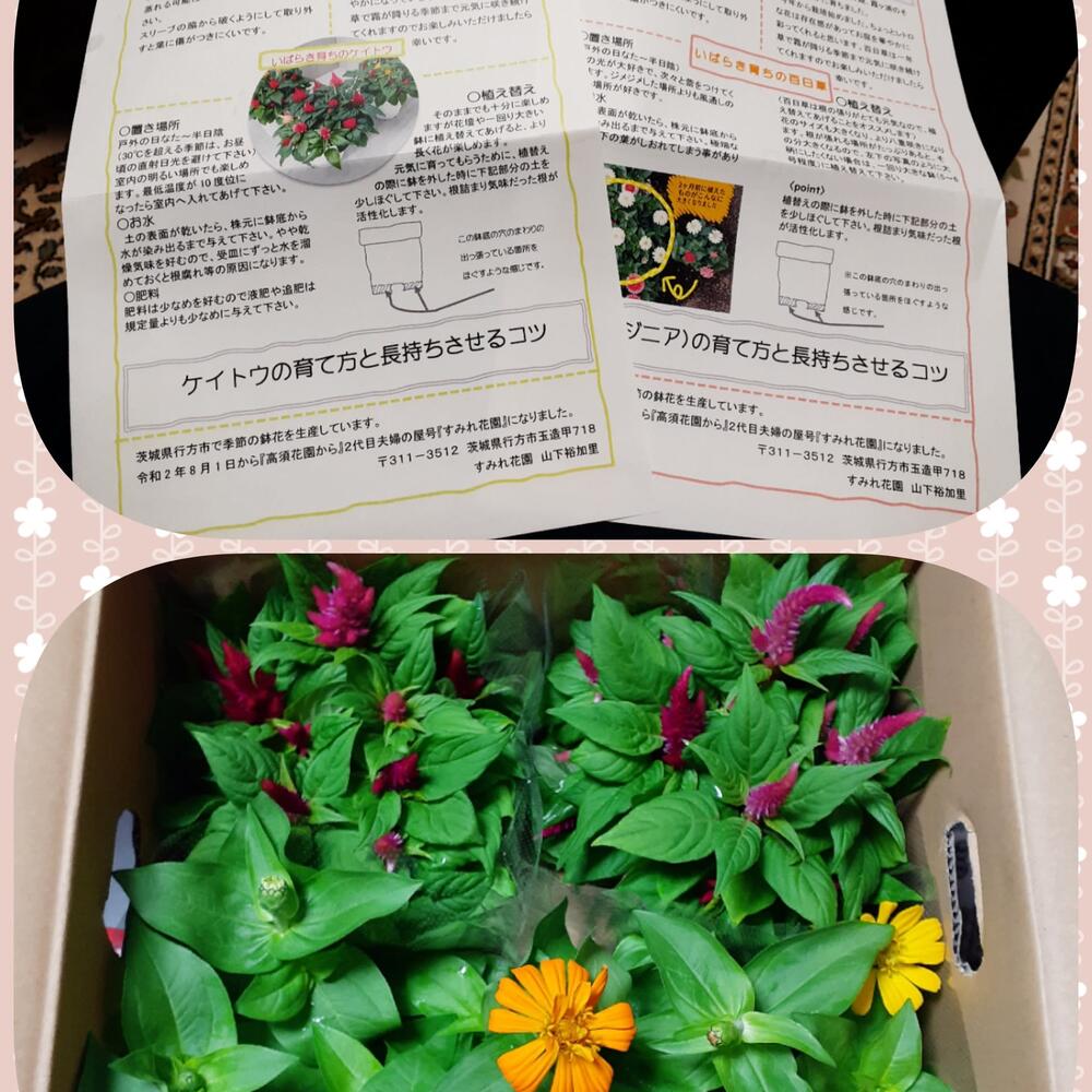 山下三夫 農家漁師直送のポケットマルシェ