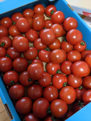 みんなの投稿の画像