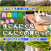 食べきり！青森県産小さな生にんにく&にんにくの芽セット