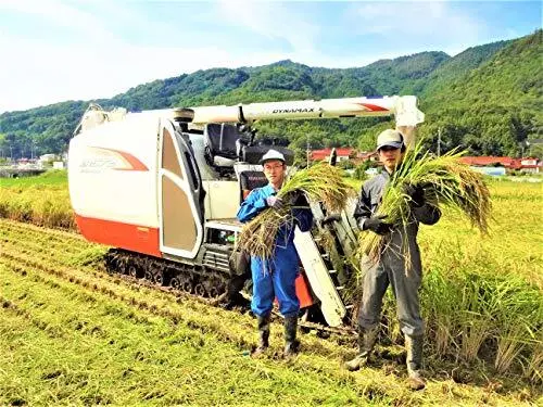 【わけあり・送料込み・メール便】玄米はしっこスティックもち　200ｇ×2