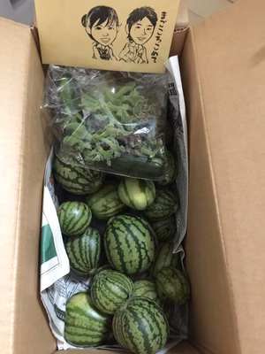 みんなの投稿の画像