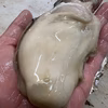 《日間賀島産》天然岩牡蠣【身入りMAX】 超特大サイズ　ミルキー・旨味・甘み
