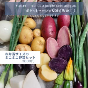 【お弁当サイズ】おまかせ野菜セット3000円