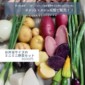 【お弁当サイズ】おまかせ野菜セット3000円