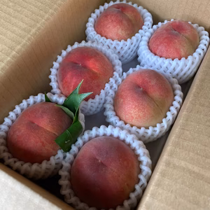 山梨の桃　桃　※傷あり　家庭用　発送開始！