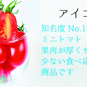 ミニトマトの大定番アイコトマト!
