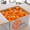 【福袋2025】低農薬栽培 温州みかん 10kg 数量限定