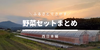 【西日本編】ふるさとの農家直送 野菜セット🎐後編(8/19更新)
