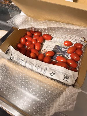 みんなの投稿の画像