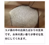 ＜玄米＞秋田のあきたこまち【令和6年産】定期購入 Rev.0