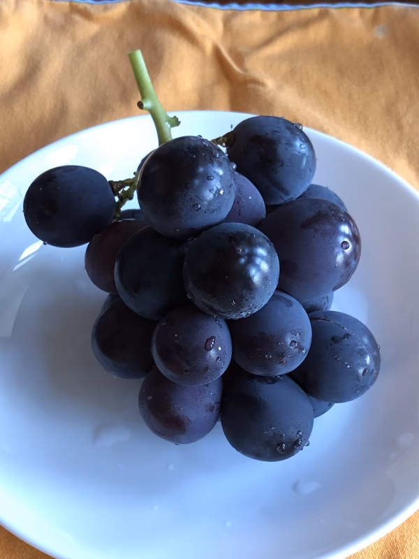 朝採り！巨峰★2ｷﾛ(5〜6房)