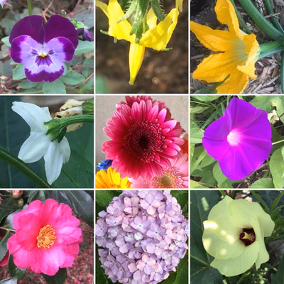 みんなの投稿の画像