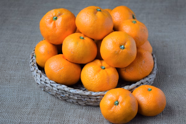 多品目栽培農園のうんしゅうみかん★栽培期間中農薬・化学肥料不使用