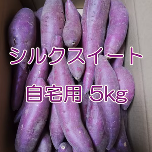 【自宅用】 里山ファームのシルクスイート ５ｋｇ 送料一部地域無料
