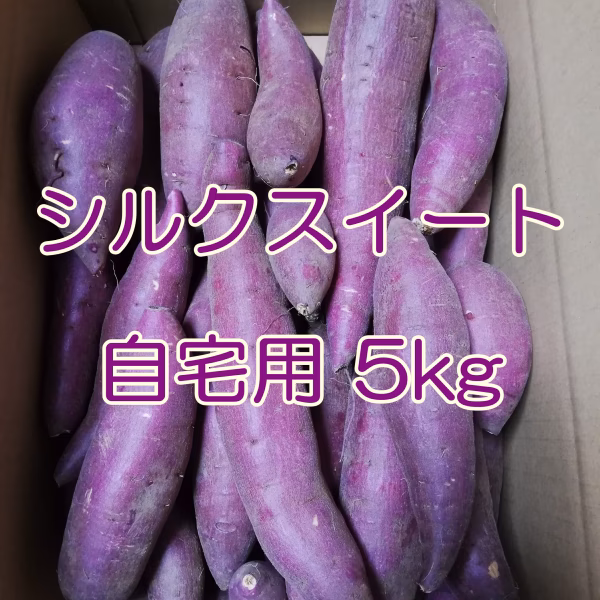 【自宅用】 里山ファームのシルクスイート ５ｋｇ 送料一部地域無料