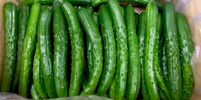 訳ありの”訳”ってなんですか？？ 「訳あり商品」を分類してみた