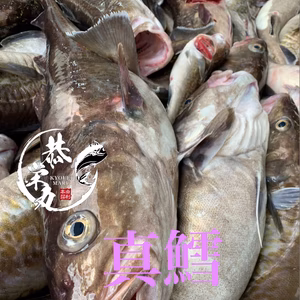 今年もきました‼️真鱈［寒タラ］BOX‼️　2025Edition 12月発送分