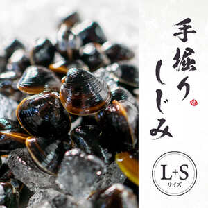 宍道湖産 冷凍大和しじみ【砂抜き済】Lサイズ+Sサイズ