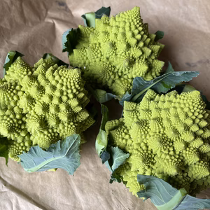 雪国のロマネスコ⭐︎量り売り【農薬・化学肥料不使用】