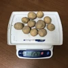 【自然栽培】じゃがいも★農薬・肥料不使用｜ジャガイモ｜馬鈴薯